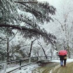 Rear view of woman walking on snow covered landscape