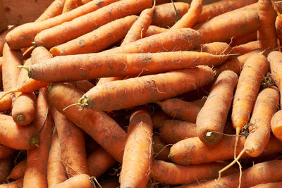 High angle view of carrots for sale