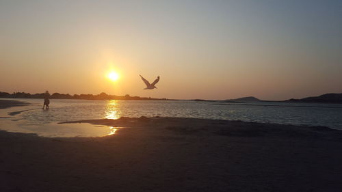 Scenic view of sea at sunset