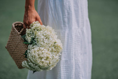 Close-up of hand holding white flower