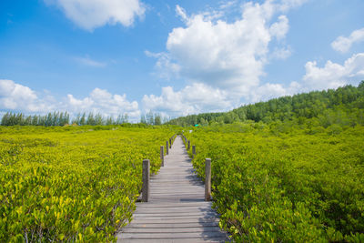 Scenic view of lake amidst field against sky