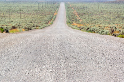 Empty road amidst field