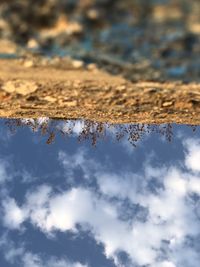 Low angle view of tree against sky