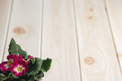 Close-up of rose on table