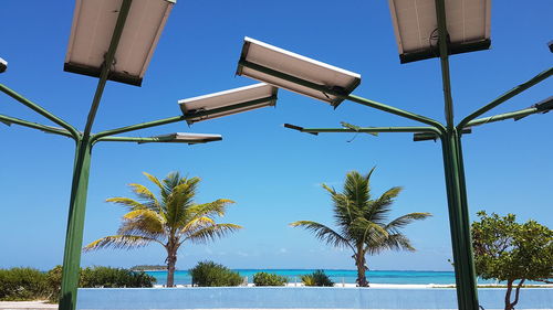 Low angle view of palm trees by swimming pool against sky