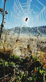 Close-up of water drops on spider web against sky