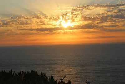 Scenic view of sea at sunset