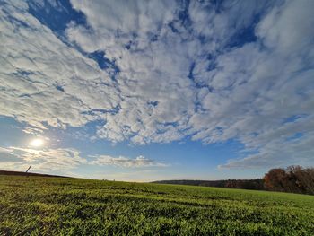 Scenic view of field against sky