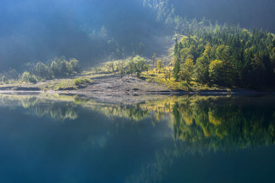 Scenic view of lake in forest