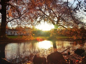 Reflection of trees in water at sunset