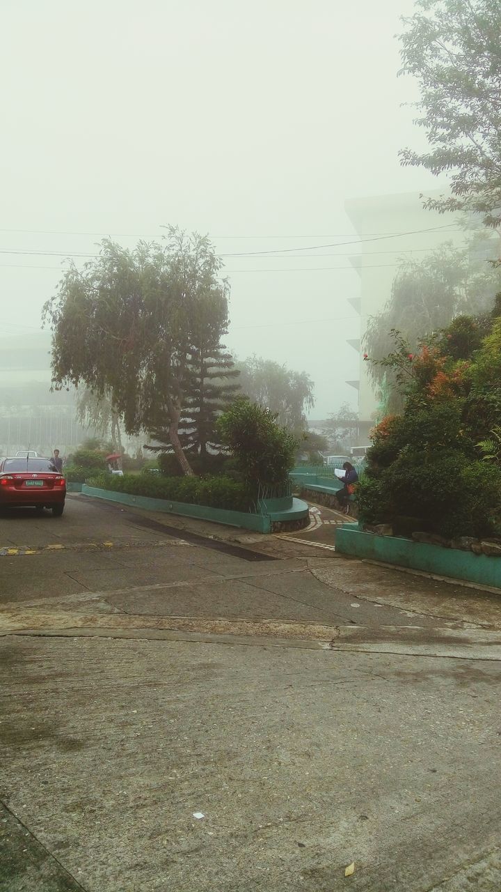 transportation, car, mode of transport, land vehicle, wet, rain, road, tree, street, water, glass - material, weather, transparent, sky, window, season, drop, day, no people, monsoon