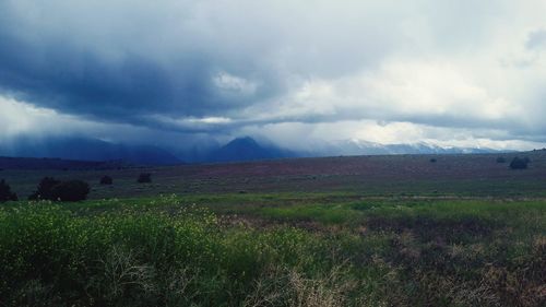 Scenic view of field against sky