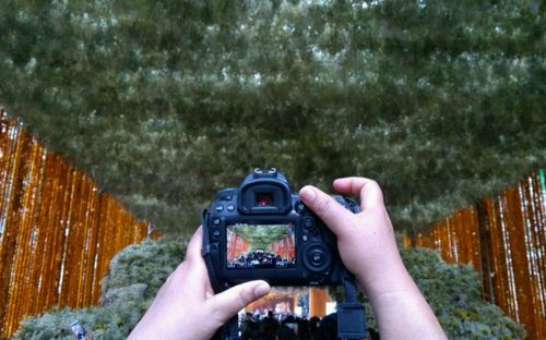 Close-up of hand holding smart phone against trees