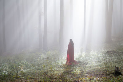 Rear view of woman standing in forest