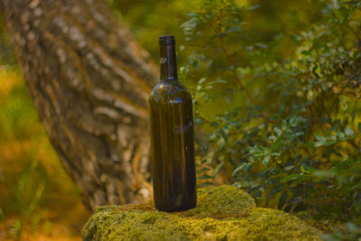 Close-up of wine bottles on glass