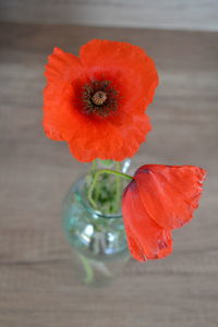 Close-up of red flower on table