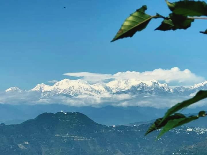 sky, mountain, beauty in nature, cloud - sky, nature, scenics - nature, mountain range, plant, blue, tranquility, no people, tranquil scene, day, plant part, leaf, outdoors, growth, tree, environment, green color, mountain peak