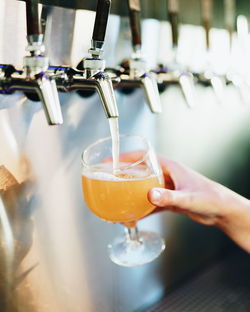 Cropped hand pouring beer in glass