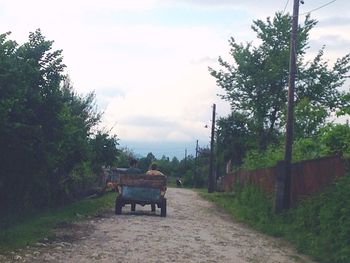 Horse on landscape against sky