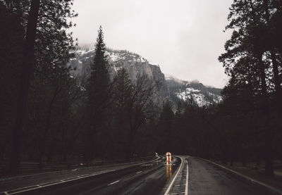 Road amidst trees against sky during winter