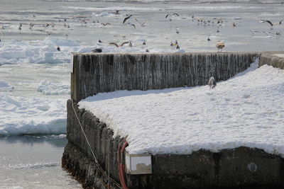 Scenic view of frozen lake during winter