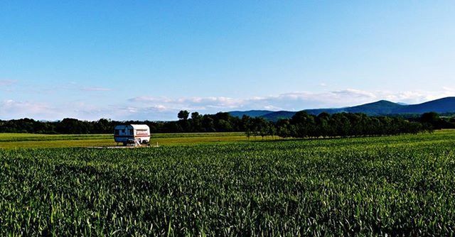 field, landscape, rural scene, agriculture, farm, crop, tranquil scene, tranquility, scenics, grass, beauty in nature, sky, growth, nature, cultivated land, green color, grassy, countryside, remote, blue