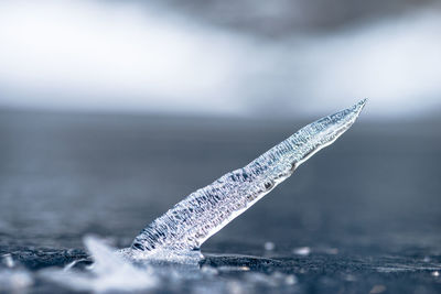 Close-up of sea against blurred background
