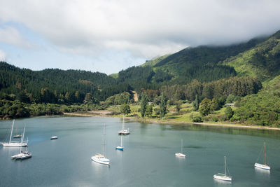 Sailboats in lake against sky