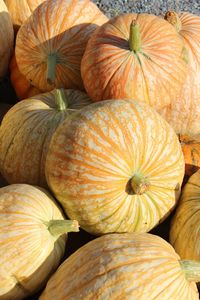 Full frame shot of pumpkins