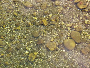 Full frame shot of pebbles in water