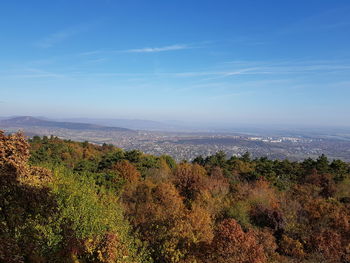 Scenic view of landscape against blue sky