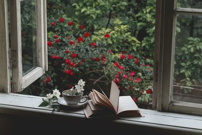 Close-up of potted plant on table by window