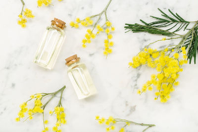 High angle view of yellow flowering plant on table