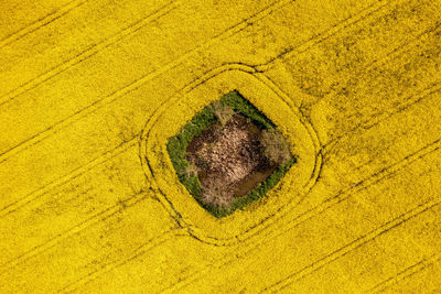 Full frame shot of yellow wall