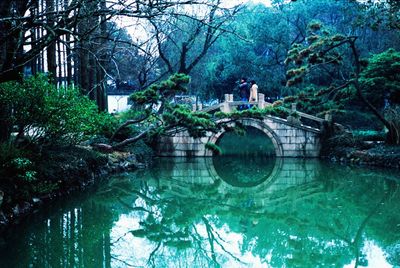 Reflection of trees in water
