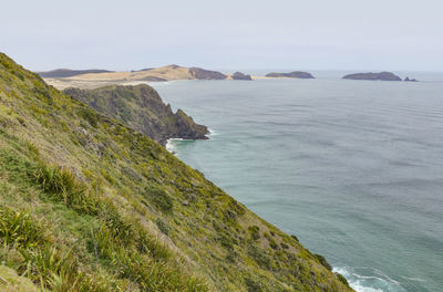 Coastal scenery around cape reinga at the north island in new zealand