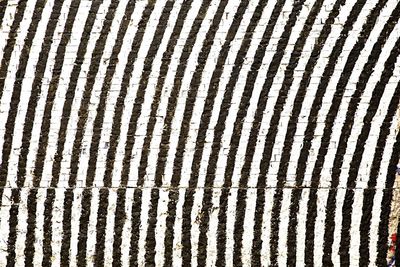 Full frame shot of pattern