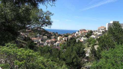 Trees and townscape against sky