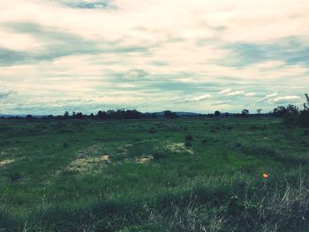 Scenic view of grassy field against cloudy sky