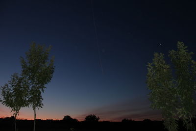 Low angle view of silhouette trees against sky at night