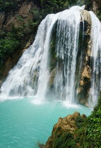 Scenic view of waterfall in forest