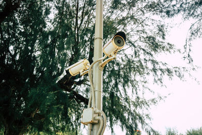 Low angle view of chain hanging on tree