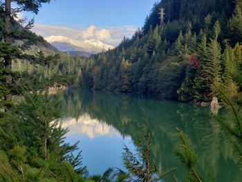 Scenic view of lake by trees against sky