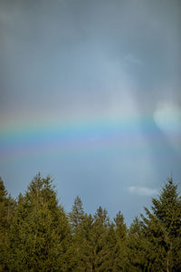 Low angle view of rainbow over trees against sky