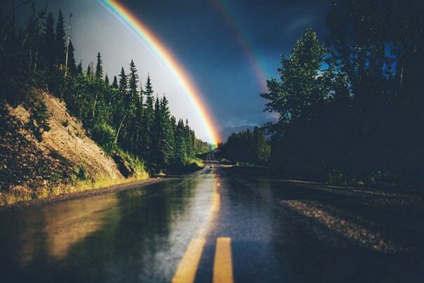 the way forward, road, tree, transportation, sky, diminishing perspective, road marking, vanishing point, street, illuminated, country road, night, tranquility, empty road, nature, tranquil scene, rainbow, outdoors, no people, scenics