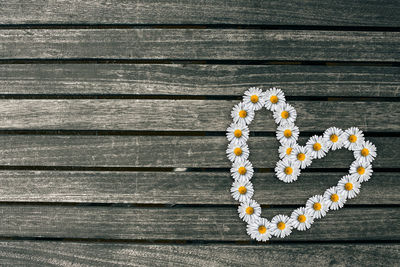 Directly above shot of daisies heart on wooden boardwalk