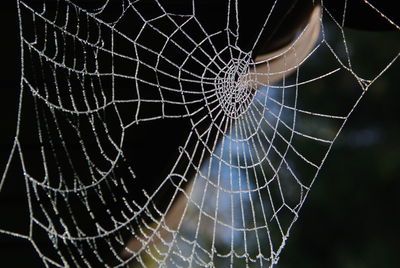 Close-up of spider web