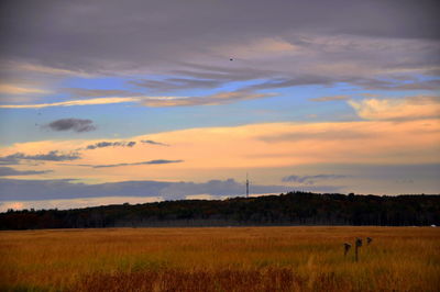 Scenic view of grassy field against cloudy sky