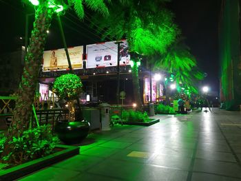 Illuminated building by trees in city at night