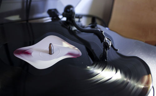 Close up of plant against blurred background